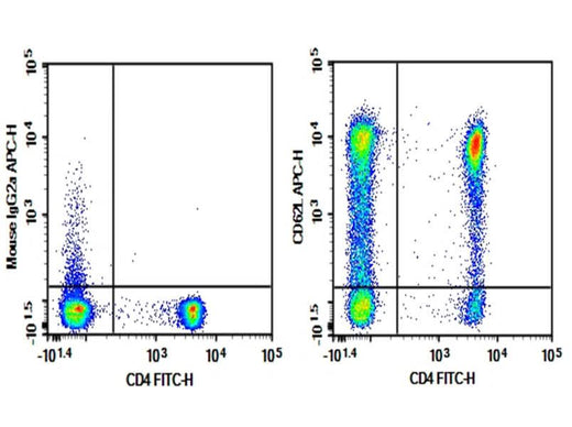 Human peripheral blood lymphocytes were stained with 0.2 μg Purified Anti-Human CD62L Antibody[HI62L] (Right) and 0.2 μg Mouse IgG2a, κ Isotype Control (Left), followed by APC-conjugated Goat Anti-Mouse IgG Secondary Antibody, then anti-Human CD4 FITC-conjugated Monoclonal Antibody.