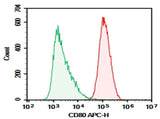 Anti-Human CD80 Antibody [2F4] - ABMIUM