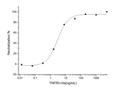 Measured by its ability to inhibit TNF-α mediated cytotoxicity in L-929 mouse fibrosarcoma cells in the presence of the metabolic inhibitor actinomycin D.The ED<sub>50</sub> for this effect is typically 30-180 ng/mL in the presence of 0.25 ng/mL recombinant human TNF-α .