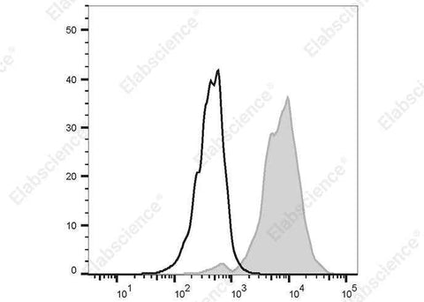 Anti-Human CD151 Antibody [50-6] - ABMIUM