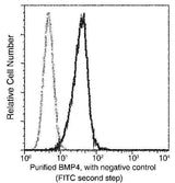 Anti-Human BMP4 Antibody [A886] - ABMIUM