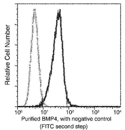 Anti-Human BMP4 Antibody [A886] - ABMIUM