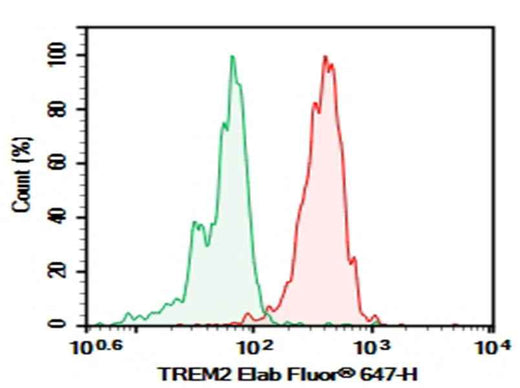 Anti-Human TREM2 Antibody [DA008] - ABMIUM