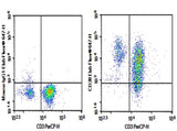 Human peripheral blood lymphocytes were stained with 0.2 μg Purified Anti-Human CD38 Antibody[HIT2] (Right) and 0.2 μg Mouse IgG1, κ Isotype Control (Left), followed by FITC-conjugated Goat Anti-Mouse IgG Secondary Antibody.