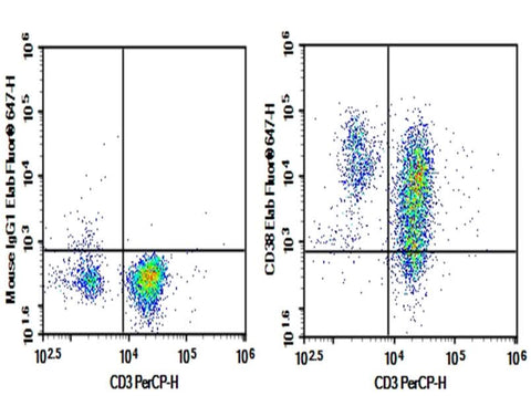 Human peripheral blood lymphocytes were stained with 0.2 μg Purified Anti-Human CD38 Antibody[HIT2] (Right) and 0.2 μg Mouse IgG1, κ Isotype Control (Left), followed by FITC-conjugated Goat Anti-Mouse IgG Secondary Antibody.