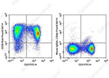 Anti-Rat CD38 Antibody [14.27] - ABMIUM