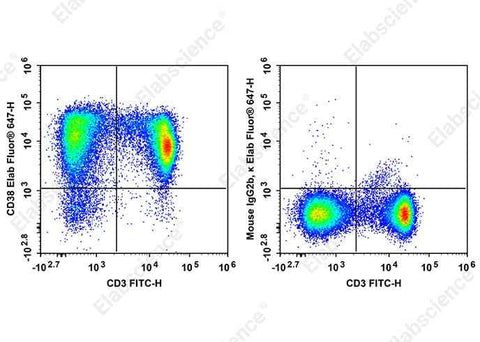 Anti-Rat CD38 Antibody [14.27] - ABMIUM