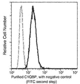 Anti-Human C1QBP Antibody [A888] - ABMIUM