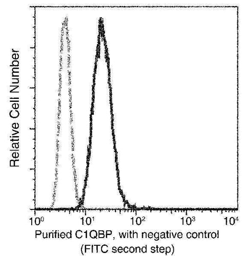 Anti-Human C1QBP Antibody [A888] - ABMIUM