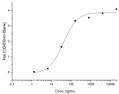 Measured by its binding ability in a functional ELISA. Immobilized human ACE2 protein (Fc tag)(Cat: PKSH031870) at 2 μg/mL (100 μL/well) can bind SARS-CoV-2 (2019-nCoV) Spike RBD-His (A435S) Recombinant Protein (PKSR030528),the EC<sub>50</sub> of SARS-CoV-2 (2019-nCoV) Spike RBD-His (A435S) Recombinant Protein (PKSR030528) is 20-50 ng/mL.