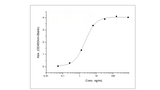 Immobilized Recombinant Rat TNFRSF17 / BCMA Protein (Fc Tag) (Cat: PKSR030347) at 2 μg/mL (100 μL/well) can bind biotinylated Anti-BCMA Antibody, Human IgG1, the EC<sub>50</sub> is 1.5-6 ng/mL.