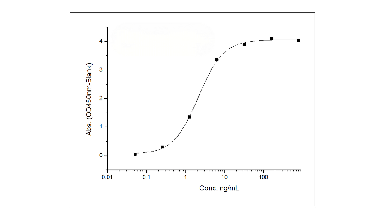 Immobilized Recombinant Rat TNFRSF17 / BCMA Protein (Fc Tag) (Cat: PKSR030347) at 2 μg/mL (100 μL/well) can bind biotinylated Anti-BCMA Antibody, Human IgG1, the EC<sub>50</sub> is 1.5-6 ng/mL.