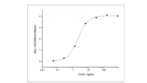 Immobilized Recombinant Rat TNFRSF17 / BCMA Protein (Fc Tag) (Cat: PKSR030347) at 2 μg/mL (100 μL/well) can bind biotinylated Anti-BCMA Antibody, Human IgG1, the EC<sub>50</sub> is 1.5-6 ng/mL.
