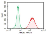 Anti-FMC63 Antibody [DA001] - ABMIUM