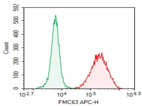Anti-FMC63 Antibody [DA001] - ABMIUM