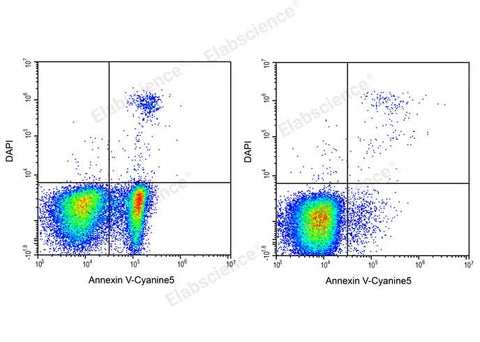 Annexin V-Cyanine5/DAPI Apoptosis Kit - ABMIUM