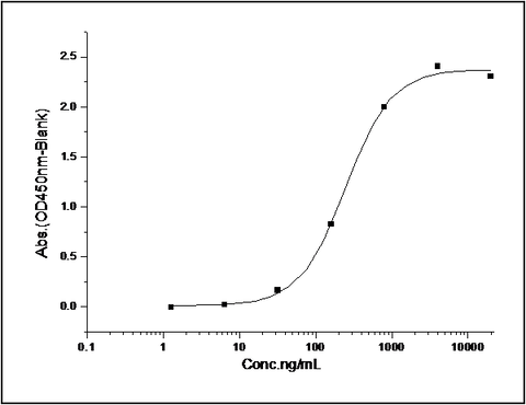 Immobilized His-GSK3B at 10 μg/ml (100 μl/well) can bind biotinylated human HG3C-CTNNB1 (Cat: PKSH031171), EC<sub>50</sub> of biotinylated human HG3C-CTNNB1 (Cat: PKSH031171) is 0.15-0.35 μg/ml.