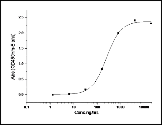 Immobilized His-GSK3B at 10 μg/ml (100 μl/well) can bind biotinylated human HG3C-CTNNB1 (Cat: PKSH031171), EC<sub>50</sub> of biotinylated human HG3C-CTNNB1 (Cat: PKSH031171) is 0.15-0.35 μg/ml.