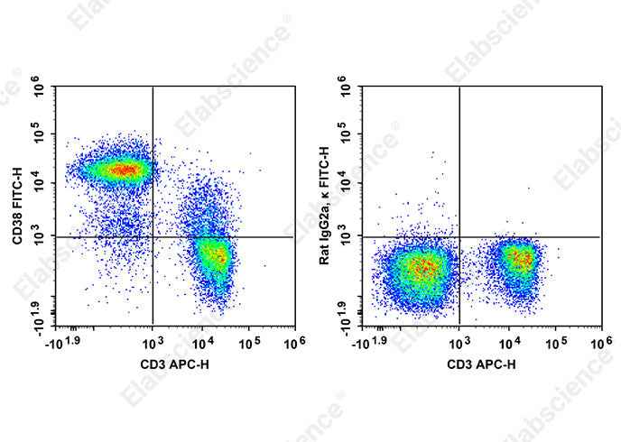 Anti-Mouse CD38 Antibody [90] - ABMIUM