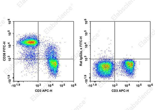Anti-Mouse CD38 Antibody [90] - ABMIUM