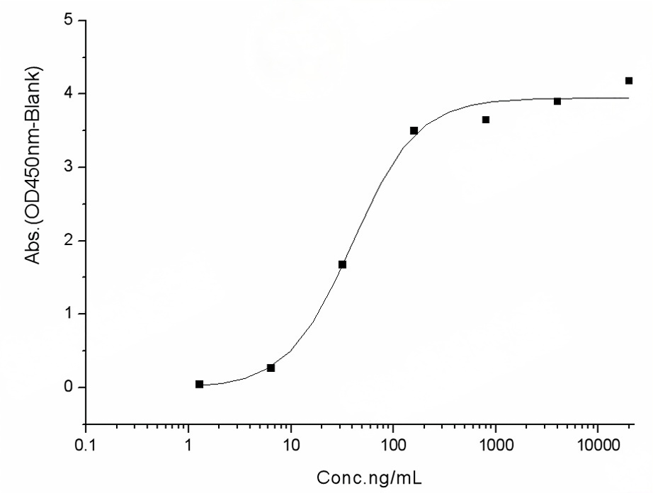 Measured by its binding ability in a functional ELISA. Immobilized human ACE2 protein (Fc tag)(Cat: PKSH031870) at 2 μg/mL (100 μL/well) can bind SARS-CoV-2 (2019-nCoV) Spike RBD-His (F342L) Recombinant Protein (PKSR030526), the EC<sub>50</sub> of SARS-CoV-2 (2019-nCoV) Spike RBD-His (F342L) Recombinant Protein (PKSR030526) is 20-50 ng/mL.