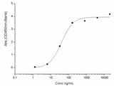 Measured by its binding ability in a functional ELISA. Immobilized human ACE2 protein (Fc tag)(Cat: PKSH031870) at 2 μg/mL (100 μL/well) can bind SARS-CoV-2 (2019-nCoV) Spike RBD-His (F342L) Recombinant Protein (PKSR030526), the EC<sub>50</sub> of SARS-CoV-2 (2019-nCoV) Spike RBD-His (F342L) Recombinant Protein (PKSR030526) is 20-50 ng/mL.