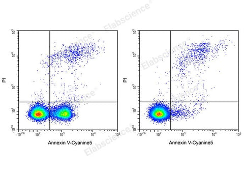 Annexin V-Cyanine5/PI Apoptosis Kit - ABMIUM
