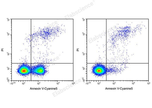 Annexin V-Cyanine5/PI Apoptosis Kit - ABMIUM
