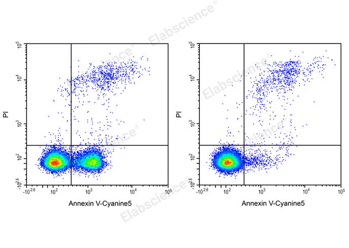 Annexin V-Cyanine5/PI Apoptosis Kit - ABMIUM