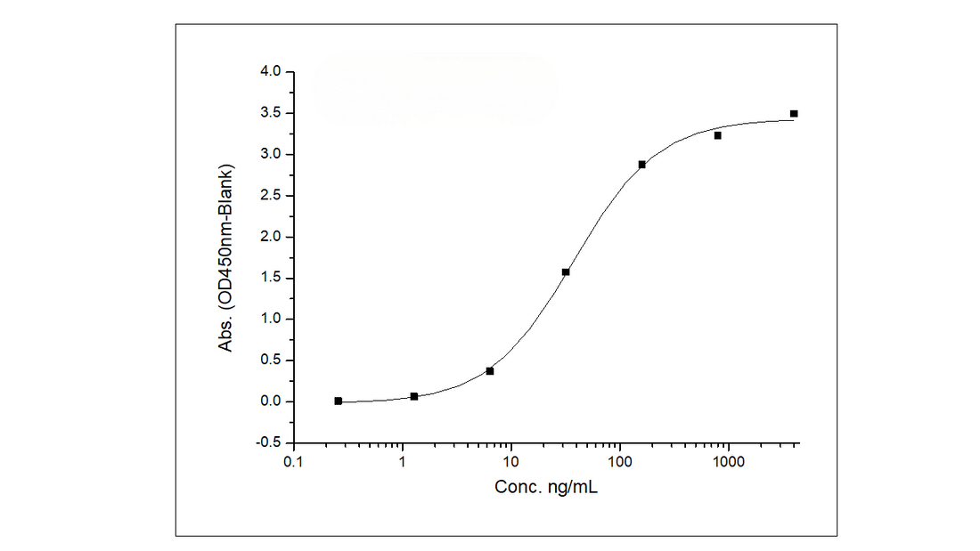 Immobilized Recombinant Human CD33 / Siglec-3 Protein (Fc Tag) (Cat: PKSH030870) at 2 μg/ml (100 μl/well) can bind Anti-CD33 Antibody (Lintuzumab), Human IgG1, the EC<sub>50</sub> is 40-130 ng/mL.