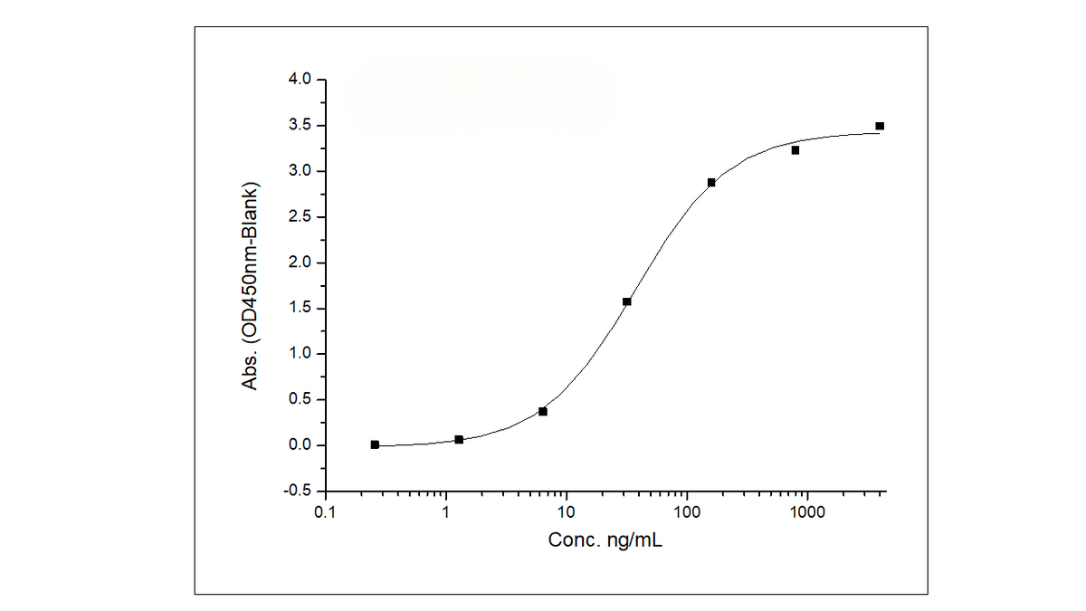 Immobilized Recombinant Human CD33 / Siglec-3 Protein (Fc Tag) (Cat: PKSH030870) at 2 μg/ml (100 μl/well) can bind Anti-CD33 Antibody (Lintuzumab), Human IgG1, the EC<sub>50</sub> is 40-130 ng/mL.