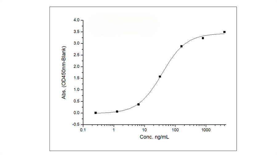 Immobilized Recombinant Human CD33 / Siglec-3 Protein (Fc Tag) (Cat: PKSH030870) at 2 μg/ml (100 μl/well) can bind Anti-CD33 Antibody (Lintuzumab), Human IgG1, the EC<sub>50</sub> is 40-130 ng/mL.