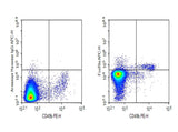 Verified Samples in FCM:C57/BL6 Mouse bone marrow