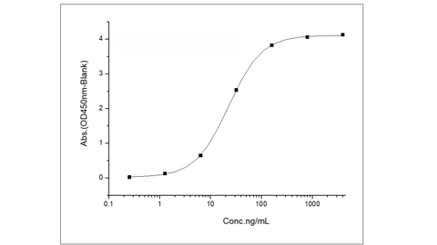 Immobilized Recombinant Human EGFR / HER1 / ErbB1 Protein (Fc Tag) (Cat: PKSH031995) at 1 μg/mL (100 μL/well) can bind Cetuximab derived Anti-EGFR Antibody, Human IgG1, Biotinylated, the EC<sub>50</sub> is 12-36 ng/mL.