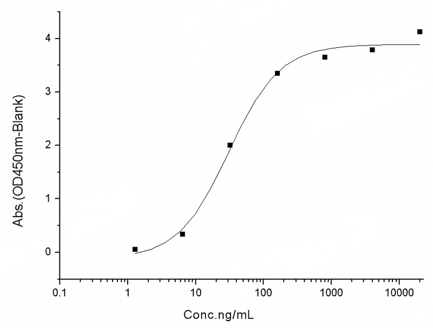 Immobilized human ACE2 protein (Fc tag)(Cat: PKSH031870) at 2 μg/mL (100 μL/well) can bind SARS-CoV-2 (2019-nCoV) Spike RBD-His (N354D) Recombinant Protein (PKSR030529), the EC<sub>50</sub> of SARS-CoV-2 (2019-nCoV) Spike RBD-His (N354D) Recombinant Protein (PKSR030529) is 10-50 ng/mL.