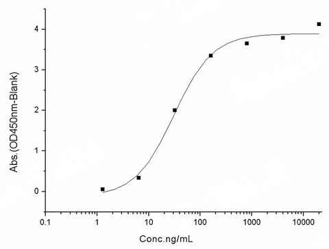 Immobilized human ACE2 protein (Fc tag)(Cat: PKSH031870) at 2 μg/mL (100 μL/well) can bind SARS-CoV-2 (2019-nCoV) Spike RBD-His (N354D) Recombinant Protein (PKSR030529), the EC<sub>50</sub> of SARS-CoV-2 (2019-nCoV) Spike RBD-His (N354D) Recombinant Protein (PKSR030529) is 10-50 ng/mL.