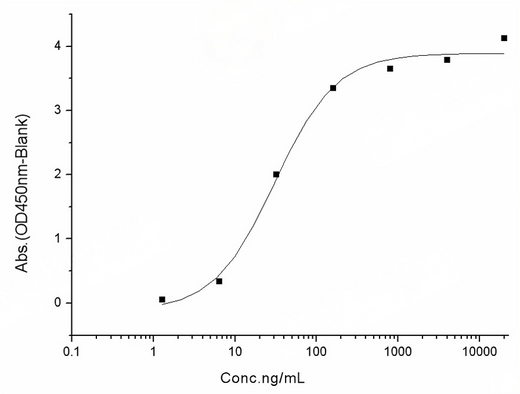 Immobilized human ACE2 protein (Fc tag)(Cat: PKSH031870) at 2 μg/mL (100 μL/well) can bind SARS-CoV-2 (2019-nCoV) Spike RBD-His (N354D) Recombinant Protein (PKSR030529), the EC<sub>50</sub> of SARS-CoV-2 (2019-nCoV) Spike RBD-His (N354D) Recombinant Protein (PKSR030529) is 10-50 ng/mL.