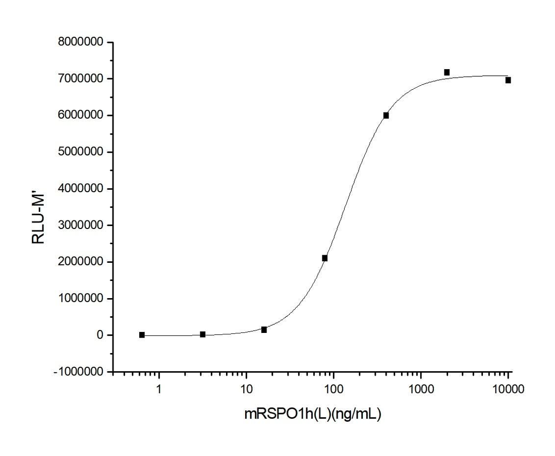 Measured by its ability to induce activation of β-catenin response in a Topflash Luciferase assay using HEK293T human embryonic kidney cells. The ED<sub>50</sub> for this effect is typically 0.1-0.9 μg/ml in the presence of 5 ng/ml recombinant mouse Wnt3a.