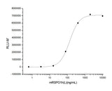 Measured by its ability to induce activation of β-catenin response in a Topflash Luciferase assay using HEK293T human embryonic kidney cells. The ED<sub>50</sub> for this effect is typically 0.1-0.9 μg/ml in the presence of 5 ng/ml recombinant mouse Wnt3a.
