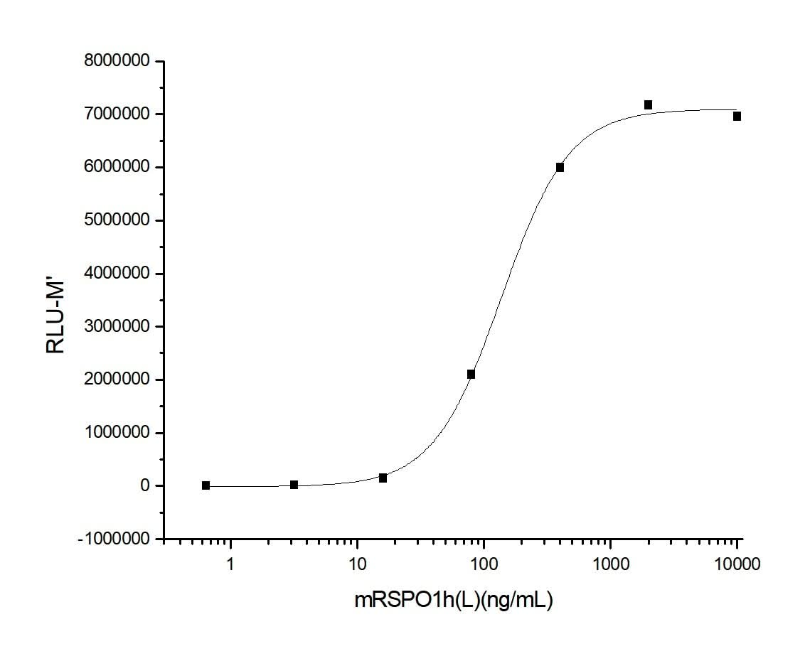 Measured by its ability to induce activation of β-catenin response in a Topflash Luciferase assay using HEK293T human embryonic kidney cells. The ED<sub>50</sub> for this effect is typically 0.1-0.9 μg/ml in the presence of 5 ng/ml recombinant mouse Wnt3a.