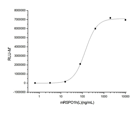Measured by its ability to induce activation of β-catenin response in a Topflash Luciferase assay using HEK293T human embryonic kidney cells. The ED<sub>50</sub> for this effect is typically 0.1-0.9 μg/ml in the presence of 5 ng/ml recombinant mouse Wnt3a.