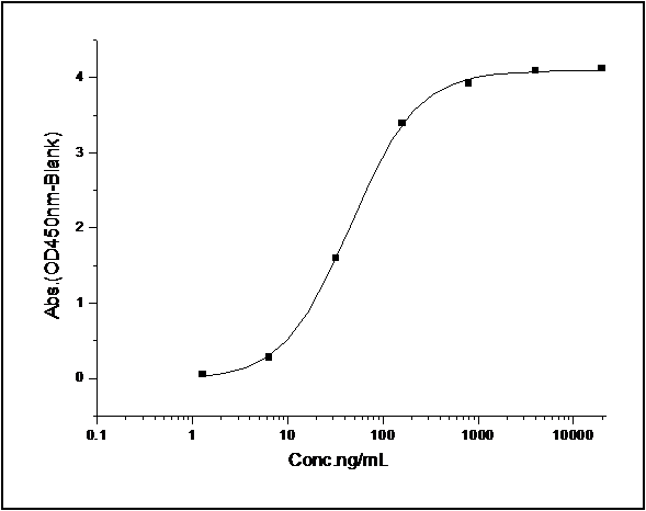 Measured by its binding ability in a functional ELISA. Immobilized human EphB4 at 2 μg/ml (100 μl/well) can bind human EphrinB2 with a linear range of 1-25 ng/ml.