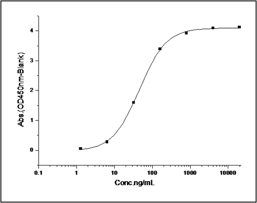 Measured by its binding ability in a functional ELISA. Immobilized human EphB4 at 2 μg/ml (100 μl/well) can bind human EphrinB2 with a linear range of 1-25 ng/ml.