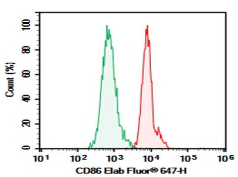 Anti-Human CD86 Antibody [2331 (FUN-1)] - ABMIUM