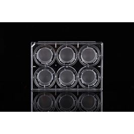 6 Cell Culture Inserts+6 Well Plate, 0.4 μm, PET Membrane, Opaque, TC, Sterile, 6/pk, 24/cs — NEST Cat. No. 723121
