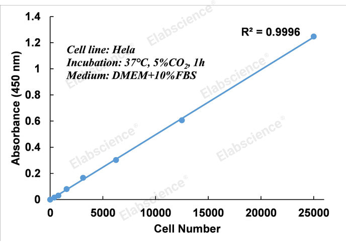 Enhanced Cell Counting Kit 8 (WST-8/CCK8) - ABMIUM