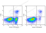 Annexin V-PE/Cyanine7/7-AAD Apoptosis Kit - ABMIUM