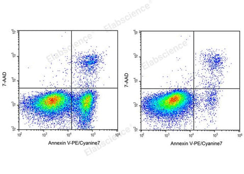 Annexin V-PE/Cyanine7/7-AAD Apoptosis Kit - ABMIUM