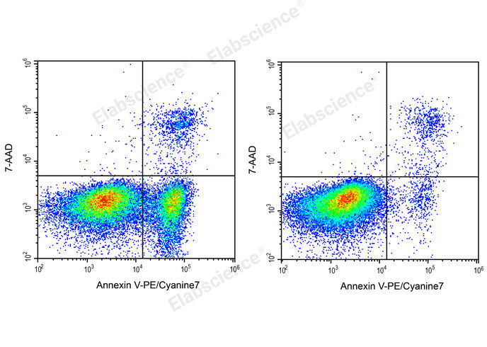 Annexin V-PE/Cyanine7/7-AAD Apoptosis Kit - ABMIUM