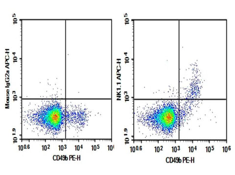 C57/BL6 Mouse splenocytes were stained with 0.2 μg APC conjugated Anti-Mouse NK1.1 Antibody[PK136] (Right) and 0.2 μg APC conjugated Mouse IgG2a, κ Isotype Control (Left), followed by anti-Mouse CD49b PE-conjugated Monoclonal Antibody.